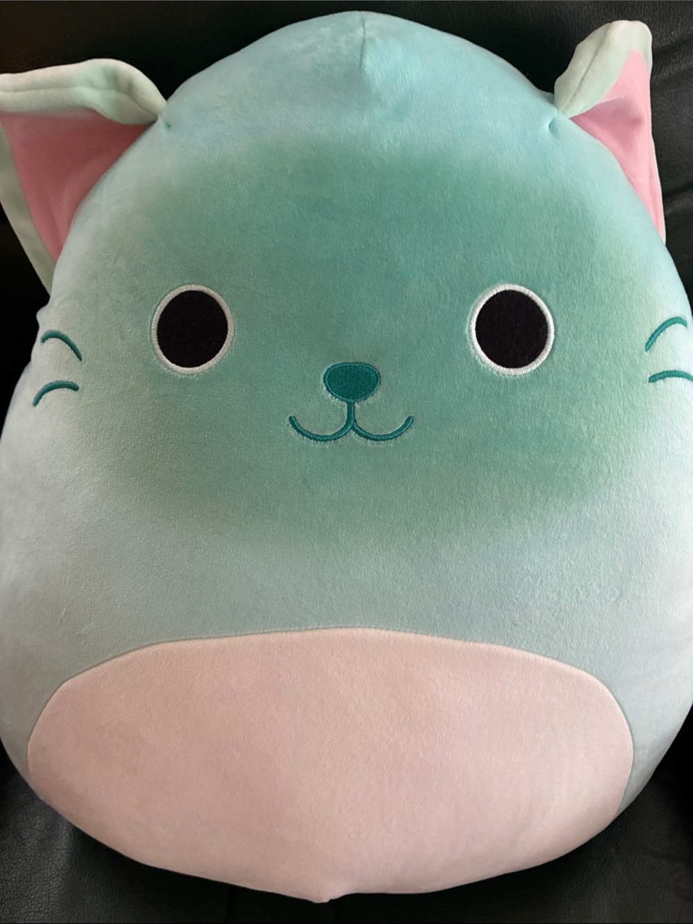 Squishmallows Light Aqua Cat Plush